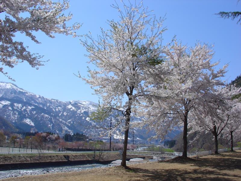 Pension Noah Yuzawa  Εξωτερικό φωτογραφία